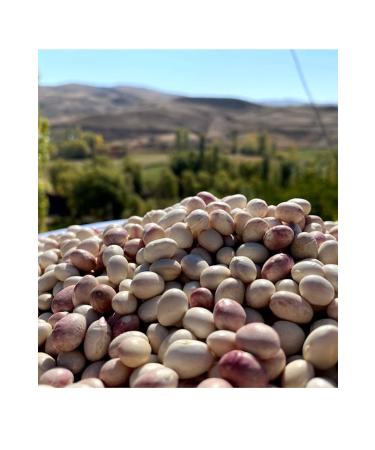 Come From The Village Ispir Beans - 1 Kg