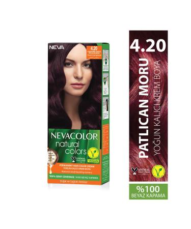 Neva Color Natural Colors 4.20 EGGPLANT PURPLE Permanent Cream Hair Dye Set