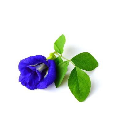 DAYE HATUN Blue Tea Vinegar / Blue Butterfly Pea Vinegar (natural Fermented Live Vinegar / Nat. Ferm. / 500 Ml) - Buy Online on GoSupps.com