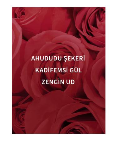 Bath & Body Works Dark Velvet Oud Shea Body Cream 226g - Buy Online on GoSupps.com