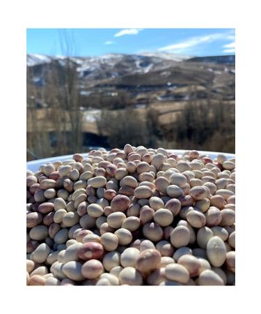 Come From The Village Ispir Beans - 1 Kg - Buy Online on GoSupps.com
