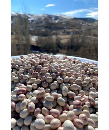 Come From The Village Ispir Beans - 1 Kg - Buy Online on GoSupps.com