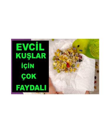 Versele Laga Germination Seed 1 Kg - Buy Online on GoSupps.com