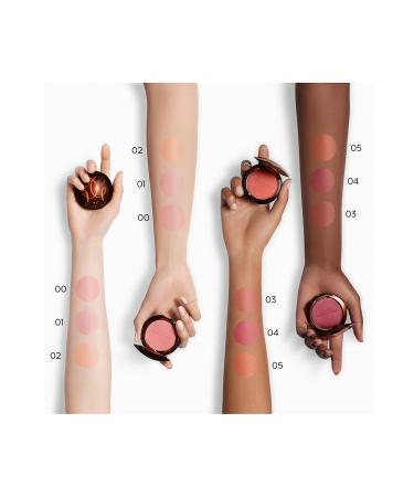 Guerlain Terra Blush 05 Blush - Buy Online on GoSupps.com