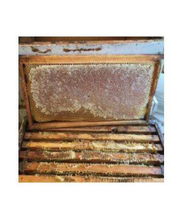 POLENBALEV Citrus Honey Mediterranean Region Orange Lemon Blossom Honey 2kg - Buy Online on GoSupps.com