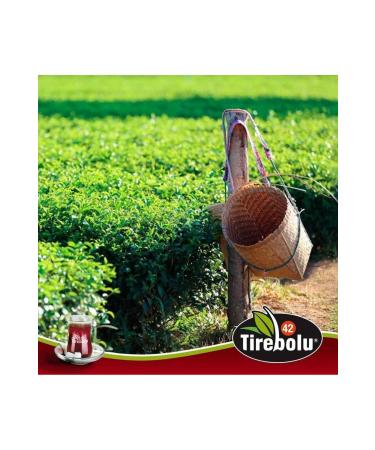 Tirebolu 42 T REBOLU EARL GREY BLACK TEA 6X1000 GR. - Buy Online on GoSupps.com