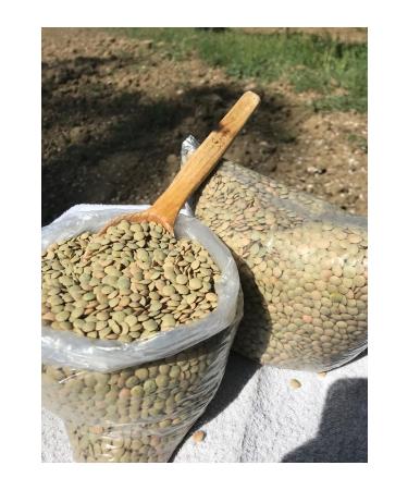 G LTEK N HONEY GREEN LENTIL 2kg - Buy Online on GoSupps.com