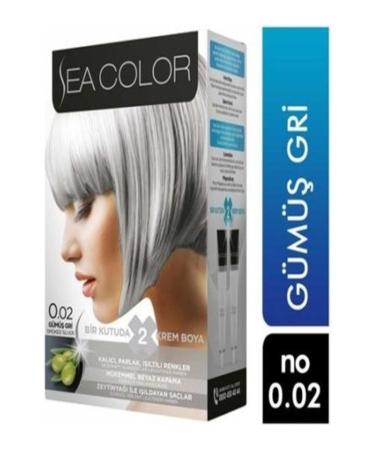 Hey Center SEA COLOR HAIR DYE SILVER GRAY 0.02