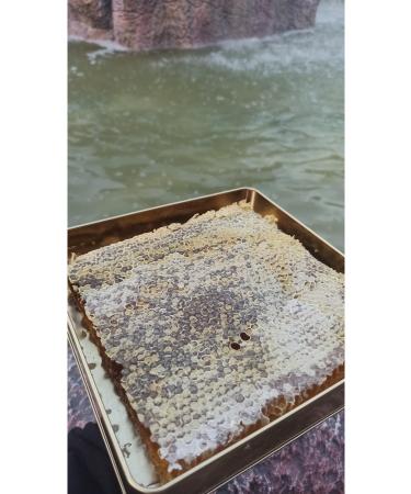 Ayvac Local Products Market +1500 ALTITUDE HONEY WITH COMB 1600 gr