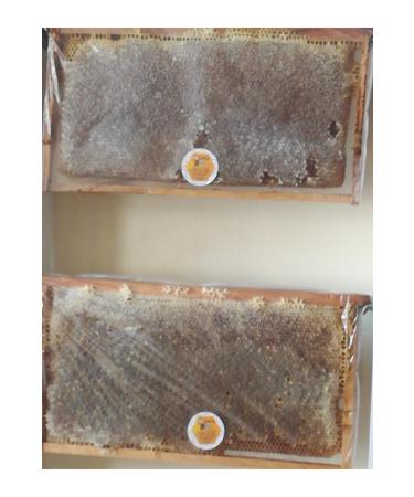 OZMU HONEY Ozmu Organic Honeycomb Honey 3.2 Kg - Buy Online on GoSupps.com