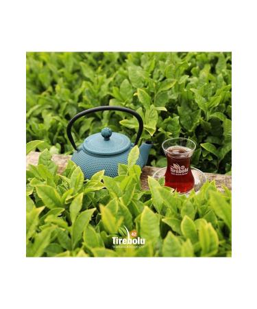 Tirebolu 42 T REBOLU EARL GREY BLACK TEA 6X1000 GR. - Buy Online on GoSupps.com