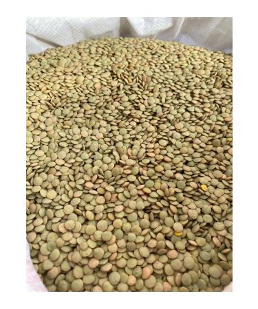 G LTEK N HONEY GREEN LENTIL 2kg