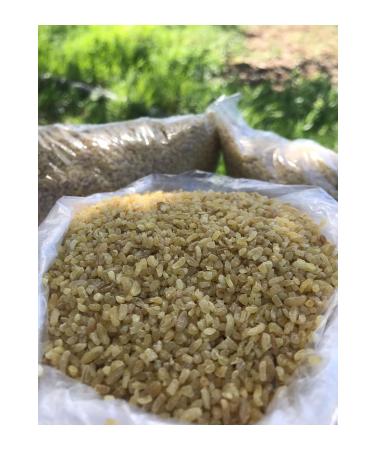 GULTEKIN HONEY BULGUR 1 KG - Buy Online on GoSupps.com