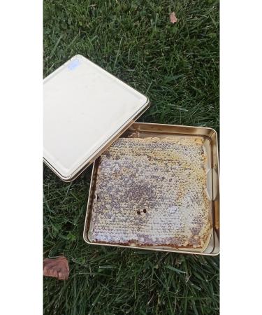 Ayvac Local Products Market +1500 ALTITUDE HONEY WITH COMB 1600 gr - Buy Online on GoSupps.com