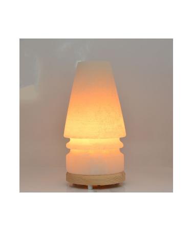 SALTON SALT Salton Lampshade Salt Lamp