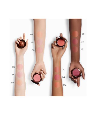 Guerlain TERRA 24 BLUSH 00 PDR Blush - Buy Online on GoSupps.com