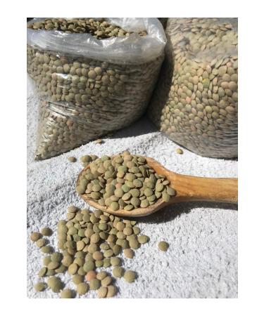 G LTEK N HONEY GREEN LENTIL 2kg - Buy Online on GoSupps.com
