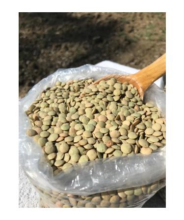 G LTEK N HONEY GREEN LENTIL 2kg - Buy Online on GoSupps.com