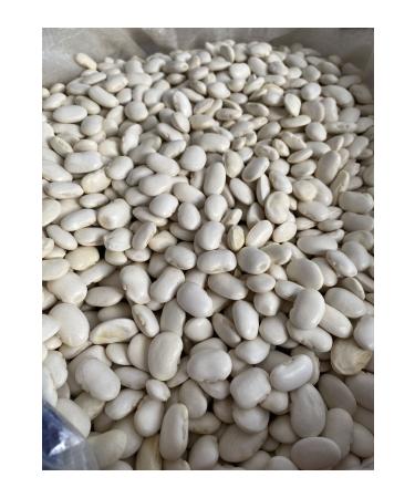 GULTEKIN HONEY Dry beans 5 kg - Buy Online on GoSupps.com