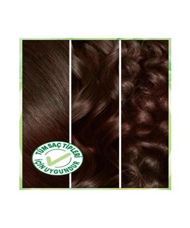 Garnier Nutrisse Intense Nourishing Permanent Cream Hair Dye 4 1:2 Luminous Brown - Buy Online on GoSupps.com