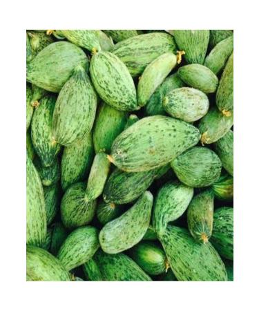 HATAY VILLAGE PRODUCTS Dried Gherkin (ANCUR) 1 Bunch - Buy Online on GoSupps.com