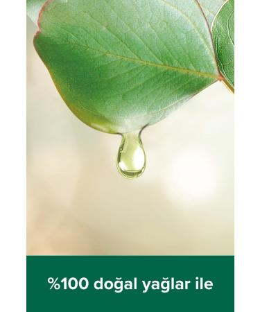 Palmolive Spa Therapy Clay Tonus Clay and Eucalyptus Oil Bath and Shower Gel 500 ml - Buy Online on GoSupps.com