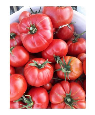 L VAL FARM Lival Hatay Handmade Tomato Paste 380 gr Glass - Buy Online on GoSupps.com