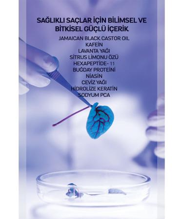 Dermoday Jamaican Black Castor Oil Shampoo Set of 2 400+400 ml - Buy Online on GoSupps.com