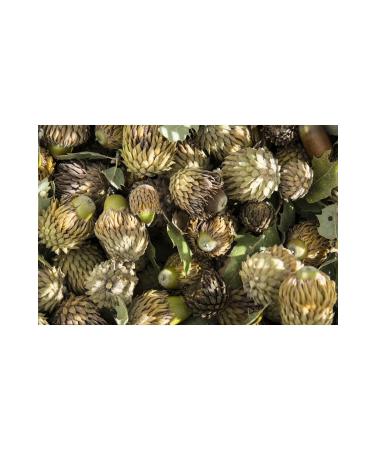 ARTUK MYA Acorn Acorn Flour (Gluten-free) 1000gr - Buy Online on GoSupps.com