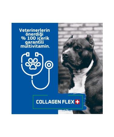 Collagenflex Collagen Flex Original and Officially Patented Advanced Development Set for Dogs. - Buy Online on GoSupps.com