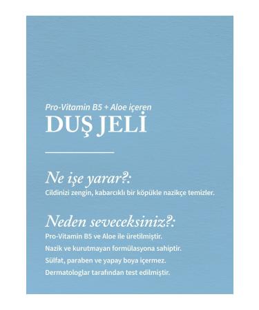 Bath & Body Works Champagne Toast Shower Gel 295 ml - Buy Online on GoSupps.com