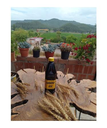 Black Mulberry Extract from the Lady's Hand 1000gr