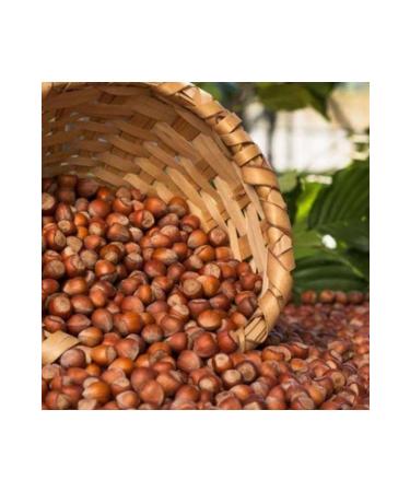 I IKTEPE Shelled Hazelnuts 1st Quality Ordu 1kg - Buy Online on GoSupps.com