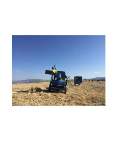 mut incisi olive & olive oil Chickpeas 5 Kg Local Yayla Chickpeas 5 Kg - Buy Online on GoSupps.com