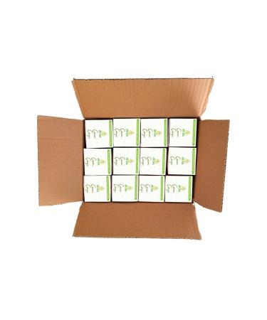 DR EVA Natural Pine Leaf Tea - Box of 12