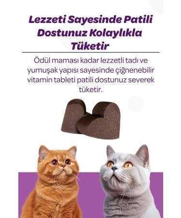 Vet's Plus Sterilized Chewable Tablets 60's (BLUEBERRY URINARY SUPPORT FOR NEURAL CATS) - Buy Online on GoSupps.com