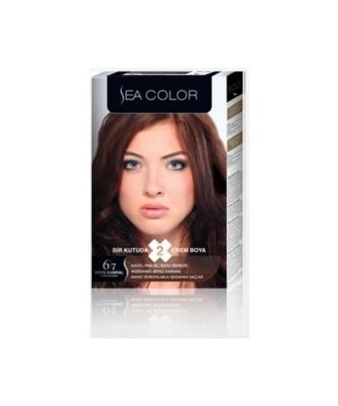Sea Color 6.7 Chocolate Brown Set Paint
