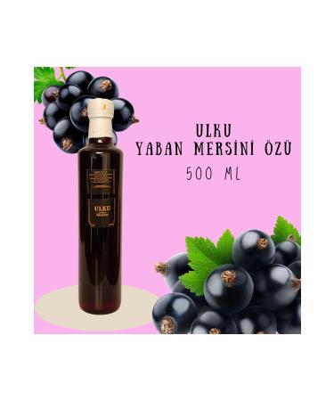 ULKUFOOD Specially Made Blueberry Extract - 500 ml