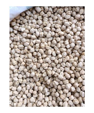 DEVEC G nen Chickpeas Large Double Bulk 5 Kg New Crop - Buy Online on GoSupps.com