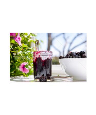  ener Blackberry Jam 5 Kg - Buy Online on GoSupps.com