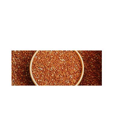 grpet Red Branch Millet Grains For New Puppies 1 Kg