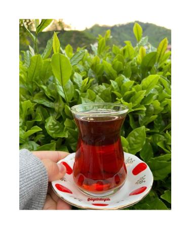 natural Black Tea First Harvest 500 GR.