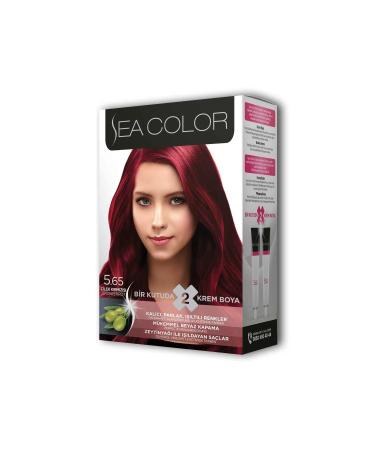 Skygo 2 Tube Cream Hair Dye Set Strawberry Red No: 5.65