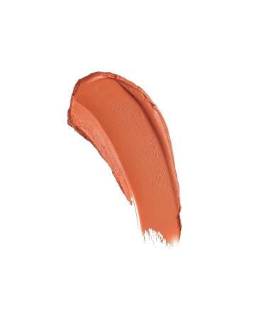 Revolution Powder Matte Lipstick Spice - Buy Online on GoSupps.com