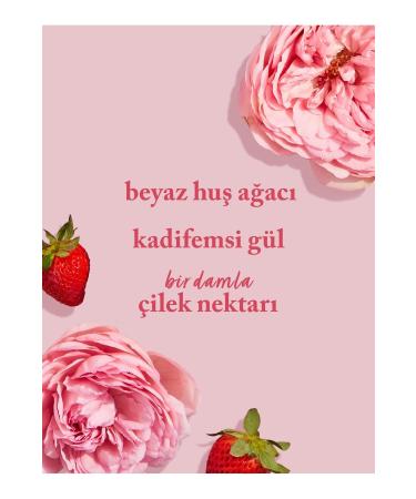 Bath & Body Works You're The One Body Cream with Shea 226 G - Buy Online on GoSupps.com