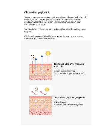 KISSERA Premium Eye Contour Cream Set Containing Pure Collagen and Snail Mucin & Vitamin - Buy Online on GoSupps.com