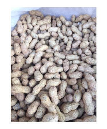 CHEMIST PISTACHIO AND NUTS Raw (Unroasted) Peanuts in Shell 2000 gr