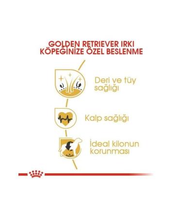 Royal Canin Golden Retriever Adult Dog Food 12 Kg - Buy Online on GoSupps.com