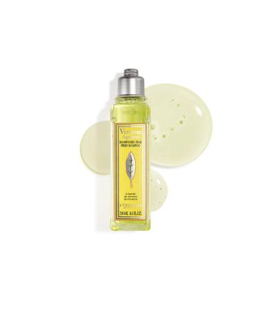 L'Occitane Citrus Verbena Shampoo - Verbena Orange Fresh Shampoo 250 ml - Buy Online on GoSupps.com