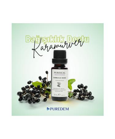 PUREICAL Sambucus Nigra Elderberry Pelargonium Echinacea Ginger Vitamin C Zinc 20 Ml - Buy Online on GoSupps.com